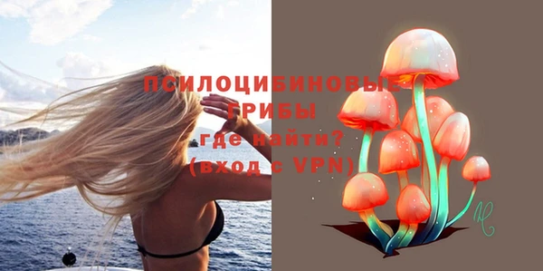 PSILOCYBIN Надым